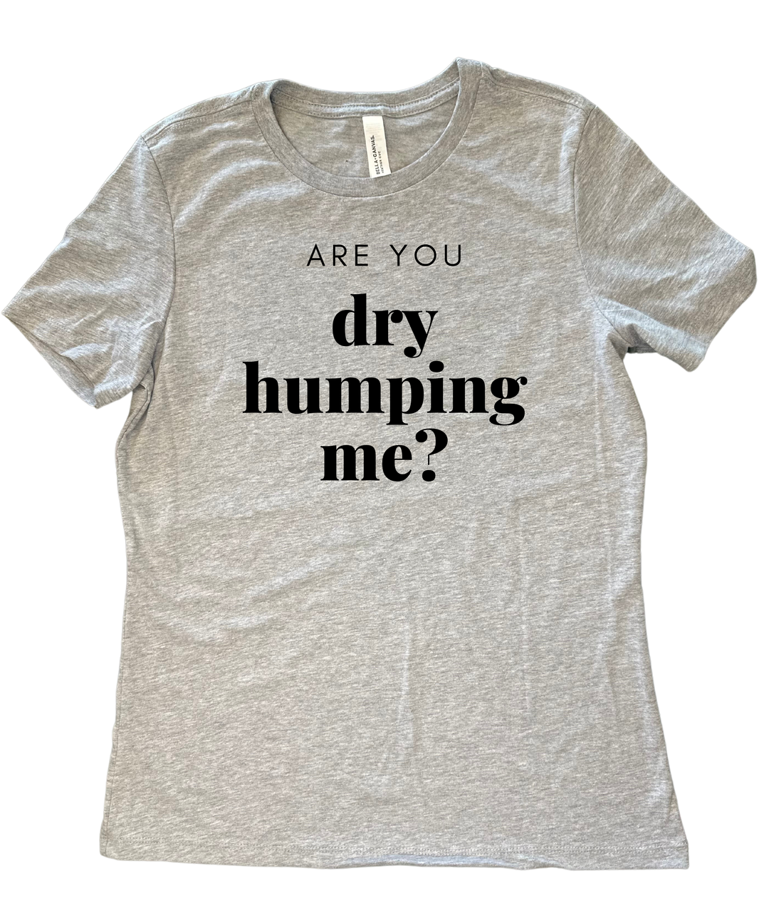 Are You Dry Humping Me Ladies Cut Relaxed Fit T-Shirt