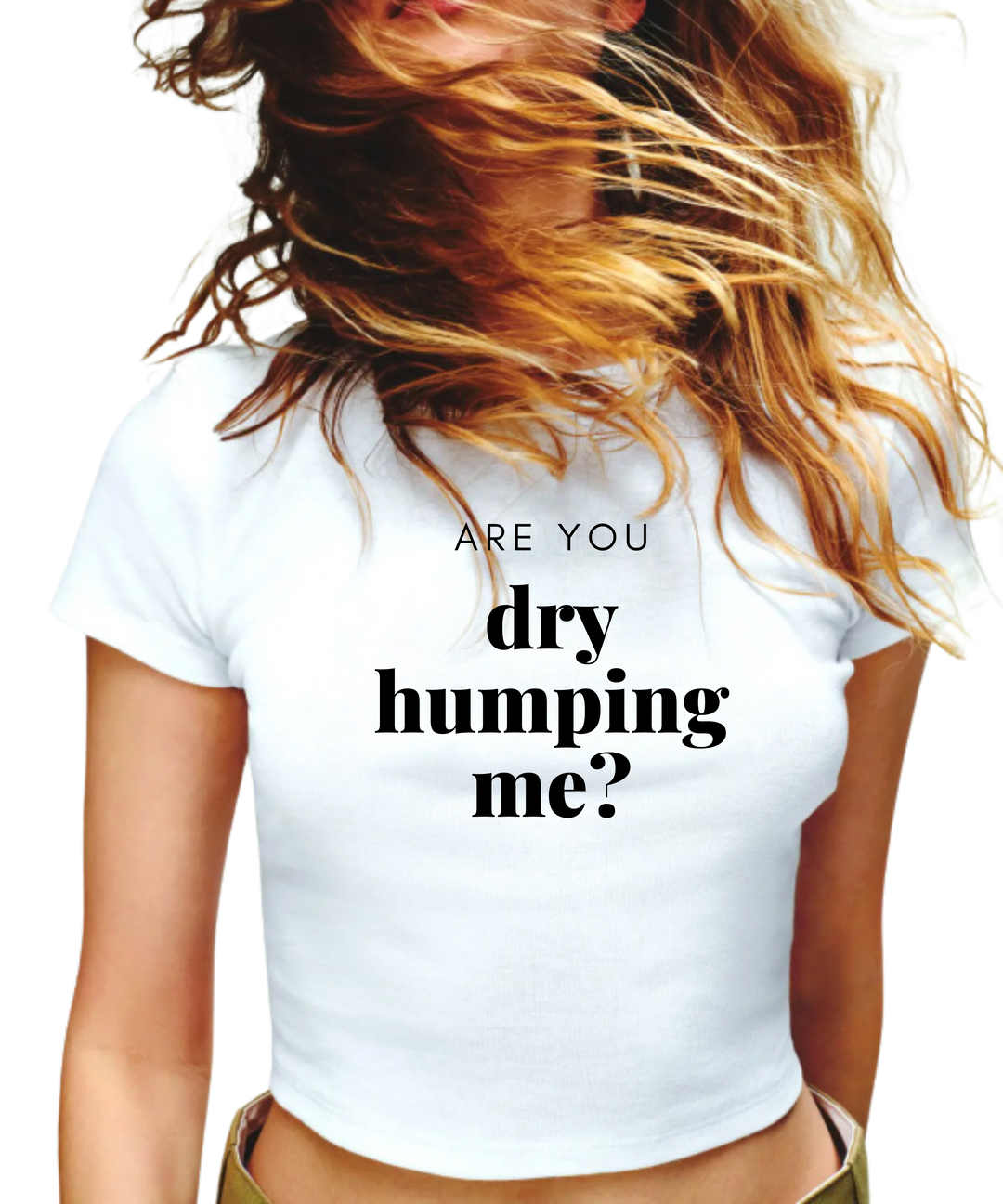 Are You Dry Humping Me Ladies Crop Top